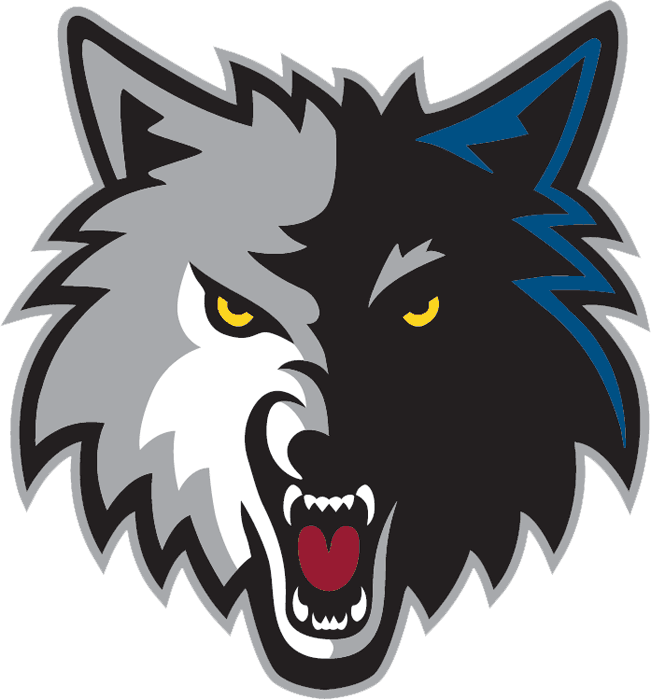 Minnesota Timberwolves 2008-2017 Alternate Logo t shirts iron on transfers